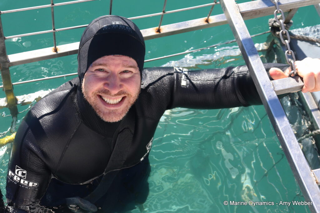 Shark cage diving, Gansbaai, South Africa