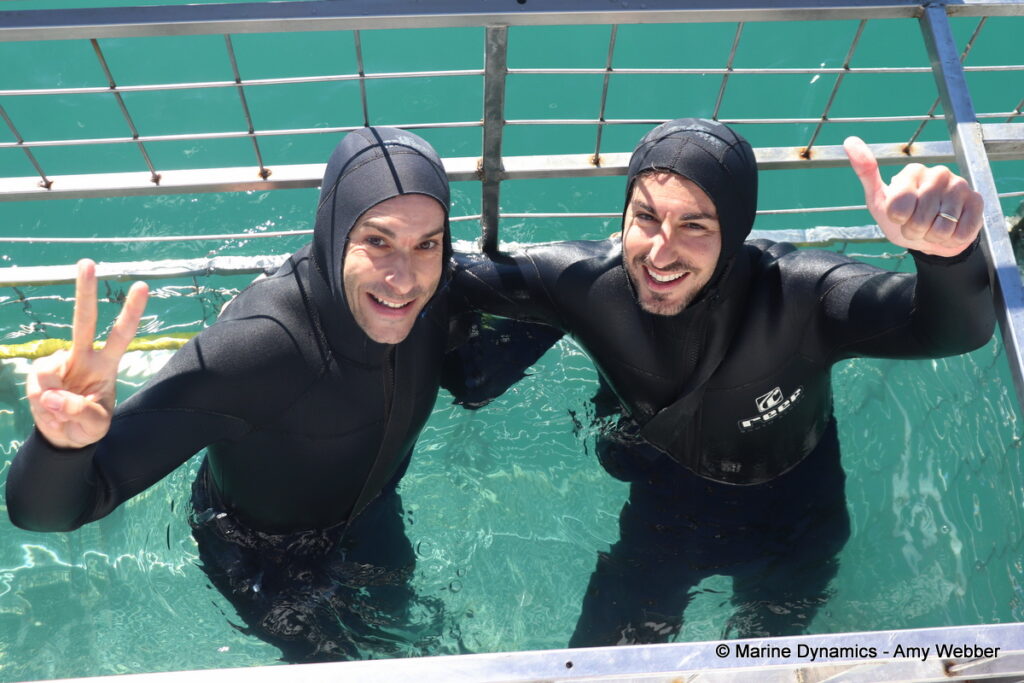 Shark cage diving, Gansbaai, South Africa