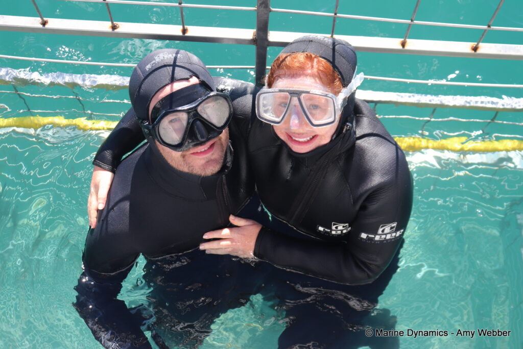 Shark cage diving, Gansbaai, South Africa