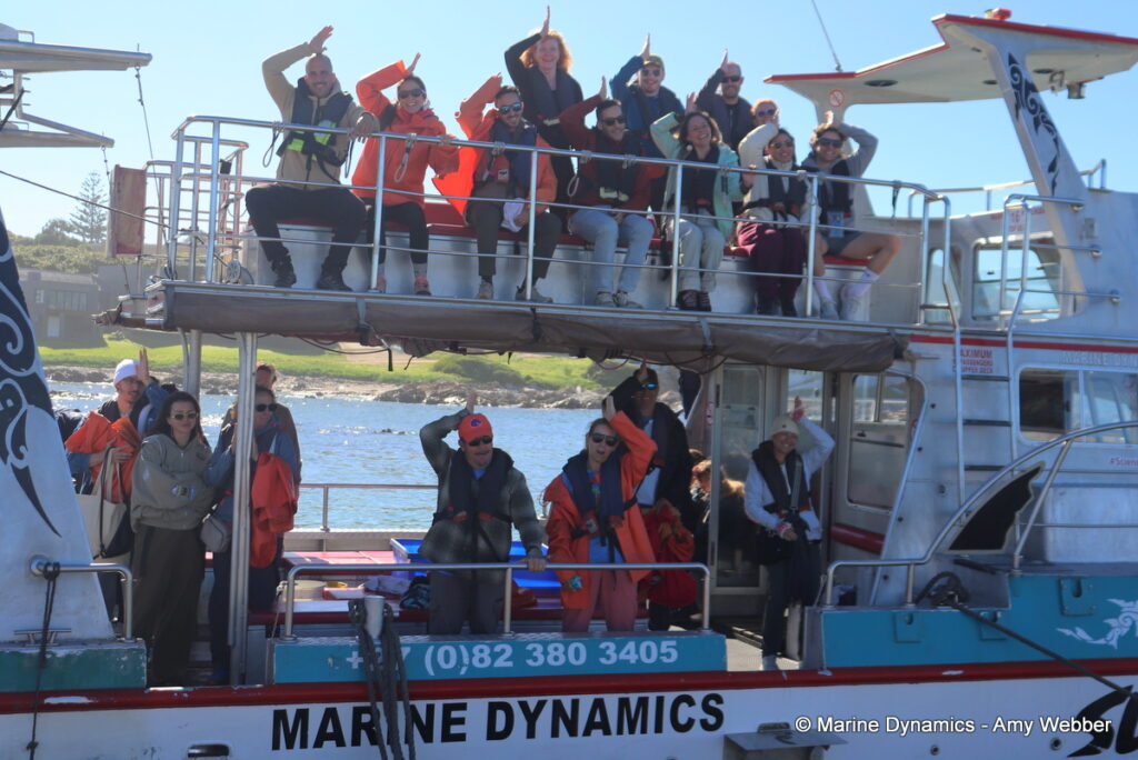 Shark cage diving, Gansbaai, South Africa