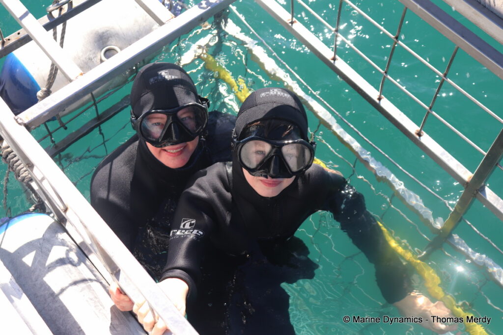 Shark cage diving, South Africa, Gansbaai