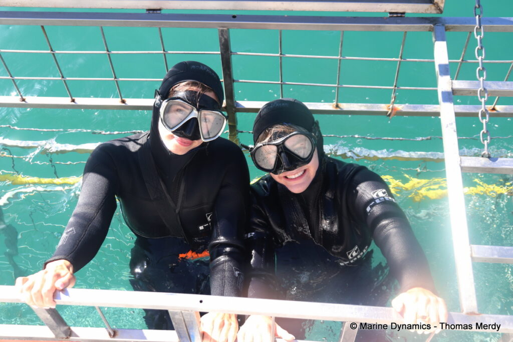 Shark cage diving, South Africa, Gansbaai