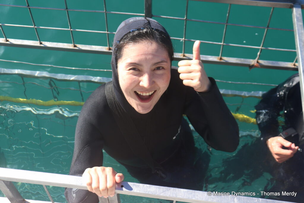 Shark cage diving, South Africa, Gansbaai