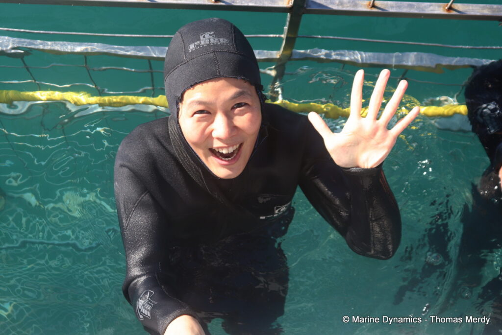 Shark cage diving, South Africa, Gansbaai