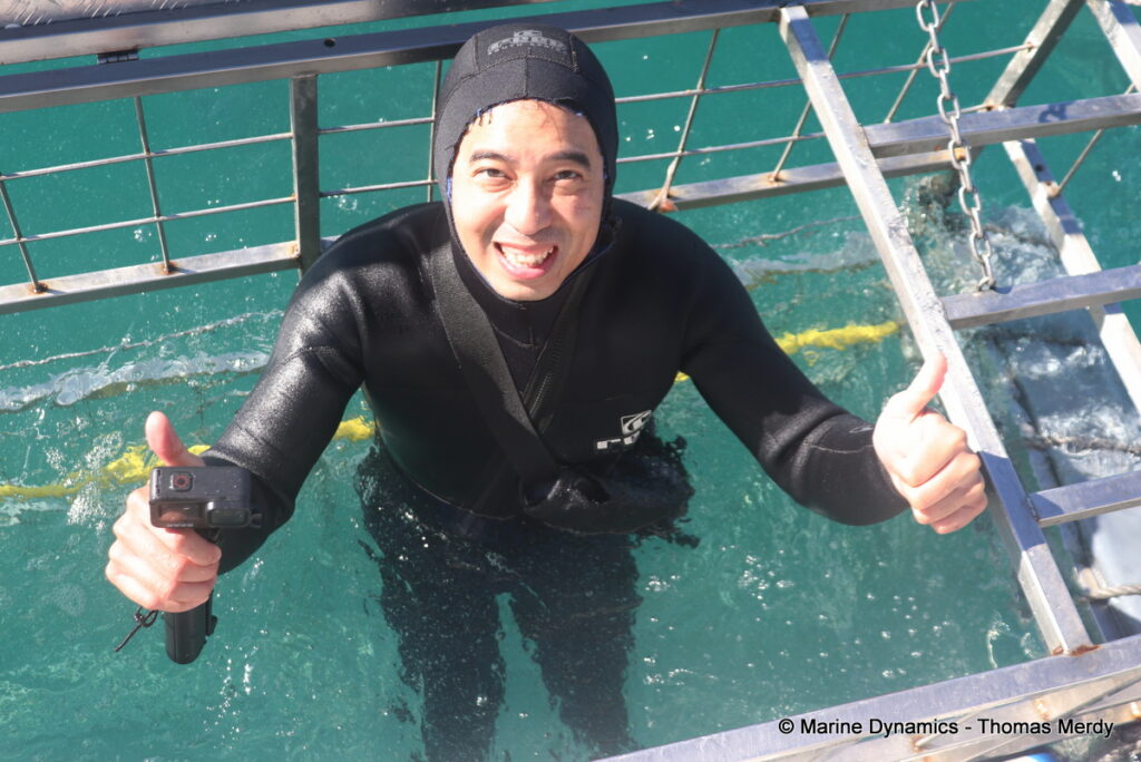 Shark cage diving, South Africa, Gansbaai