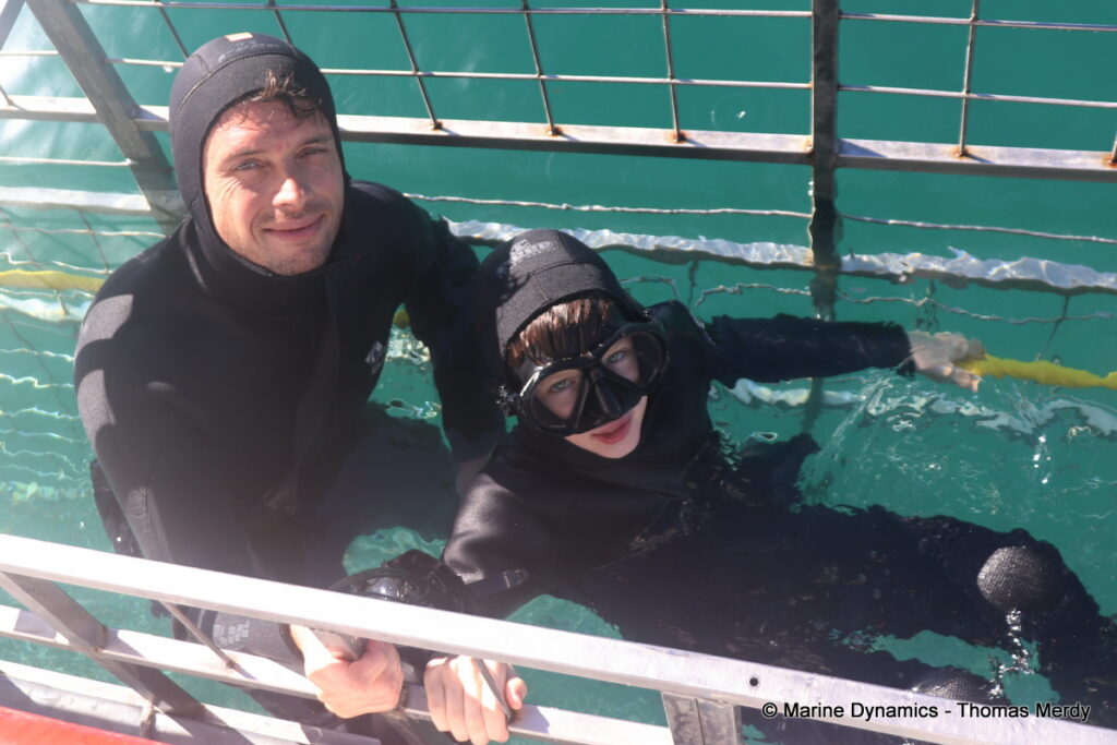Shark cage diving, South Africa, Gansbaai