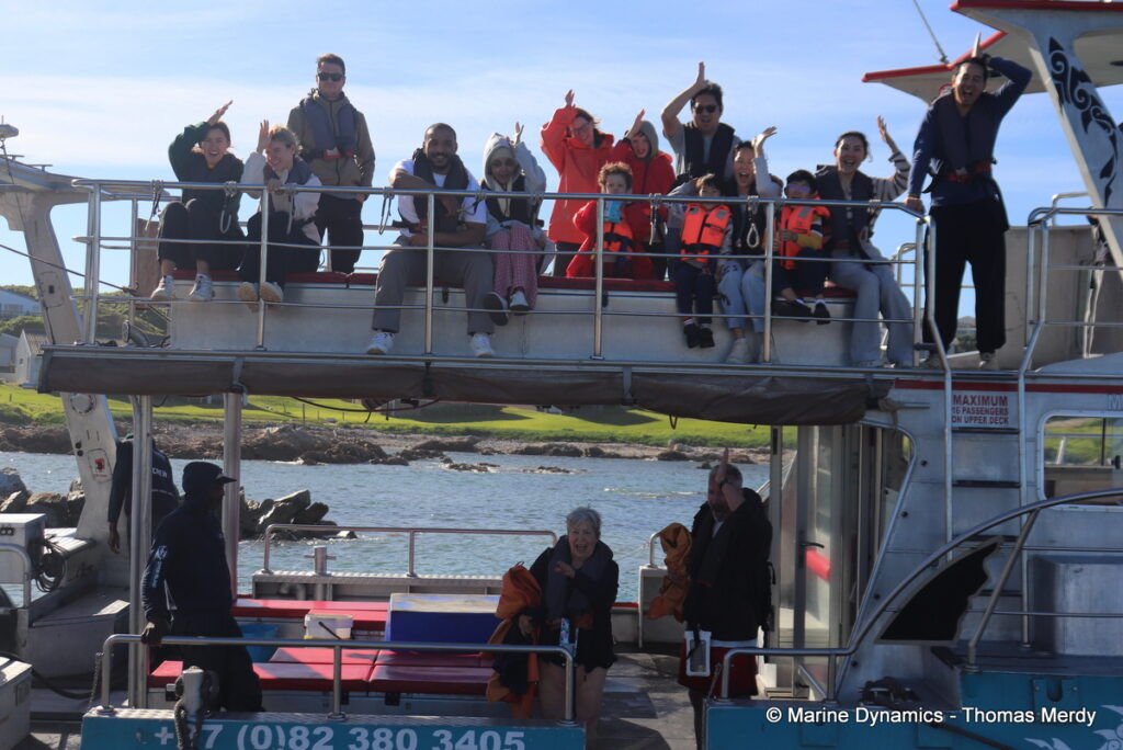 Shark cage diving, South Africa, Gansbaai