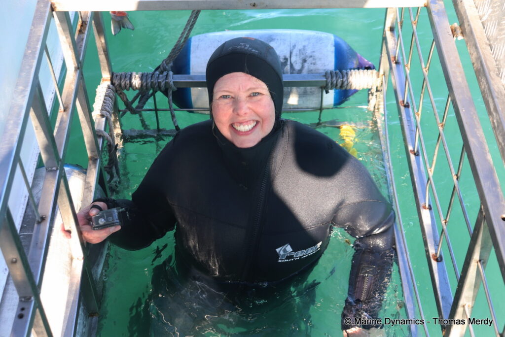 Shark cage diving, South Africa, Gansbaai