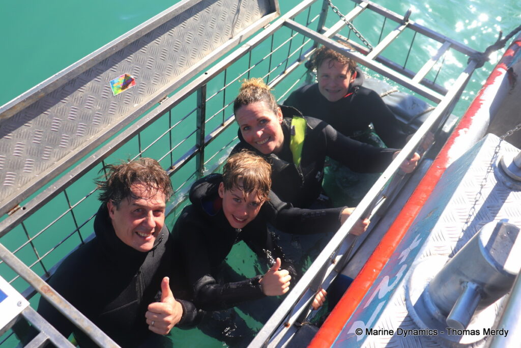 Shark cage diving, South Africa, Gansbaai