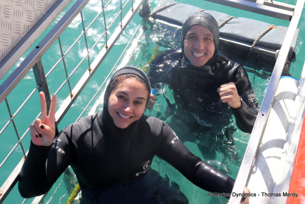 Shark cage diving, South Africa, Gansbaai
