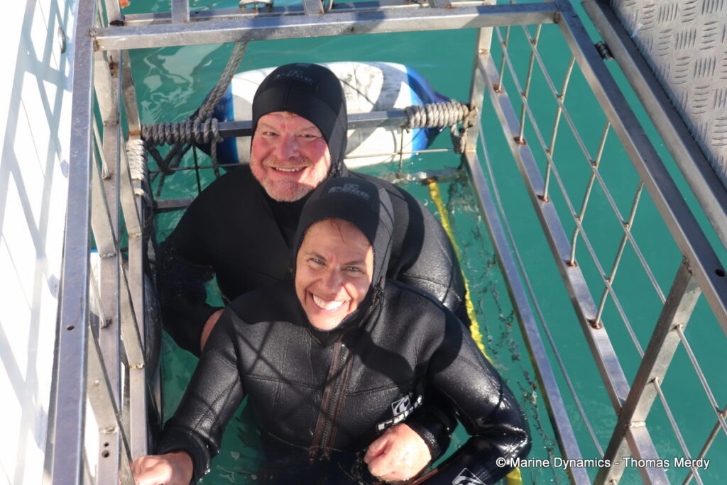 Shark cage diving, South Africa, Gansbaai