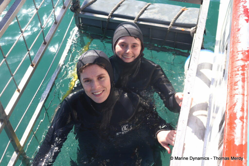 Shark cage diving, South Africa, Gansbaai