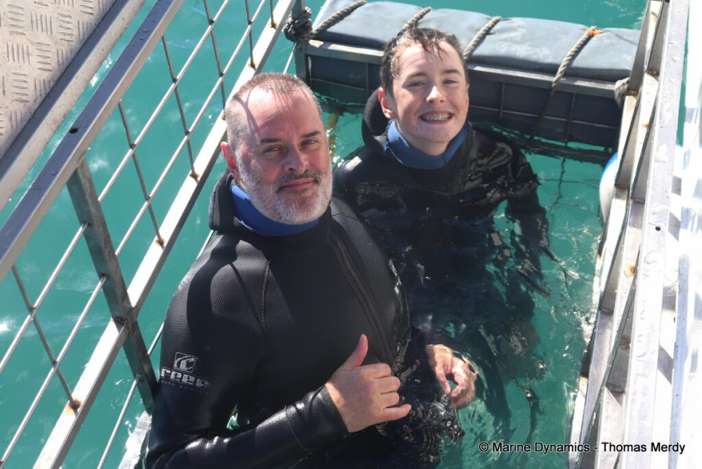 Shark cage diving, South Africa, Gansbaai