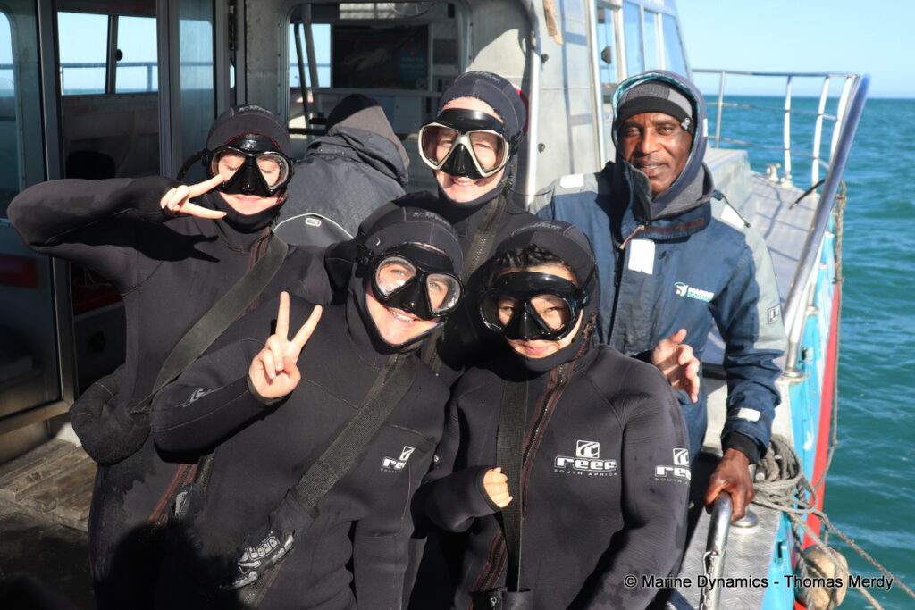 Shark cage diving, South Africa, Gansbaai