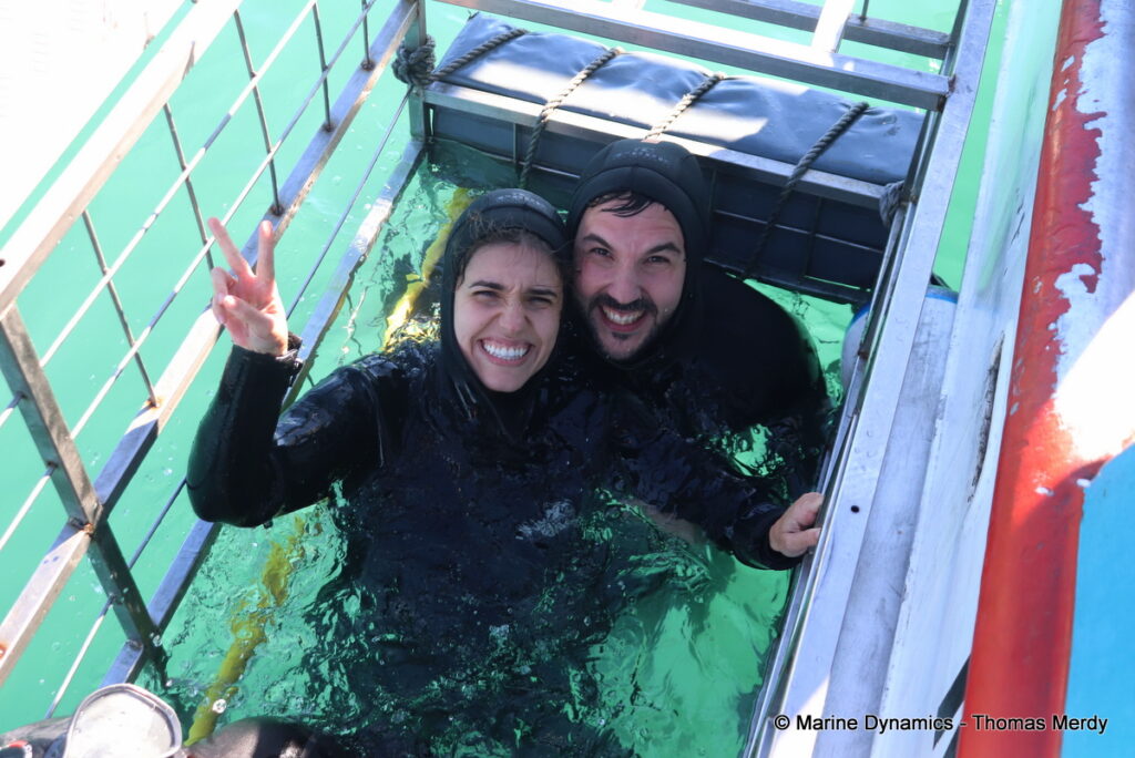 Shark cage diving, South Africa, Gansbaai