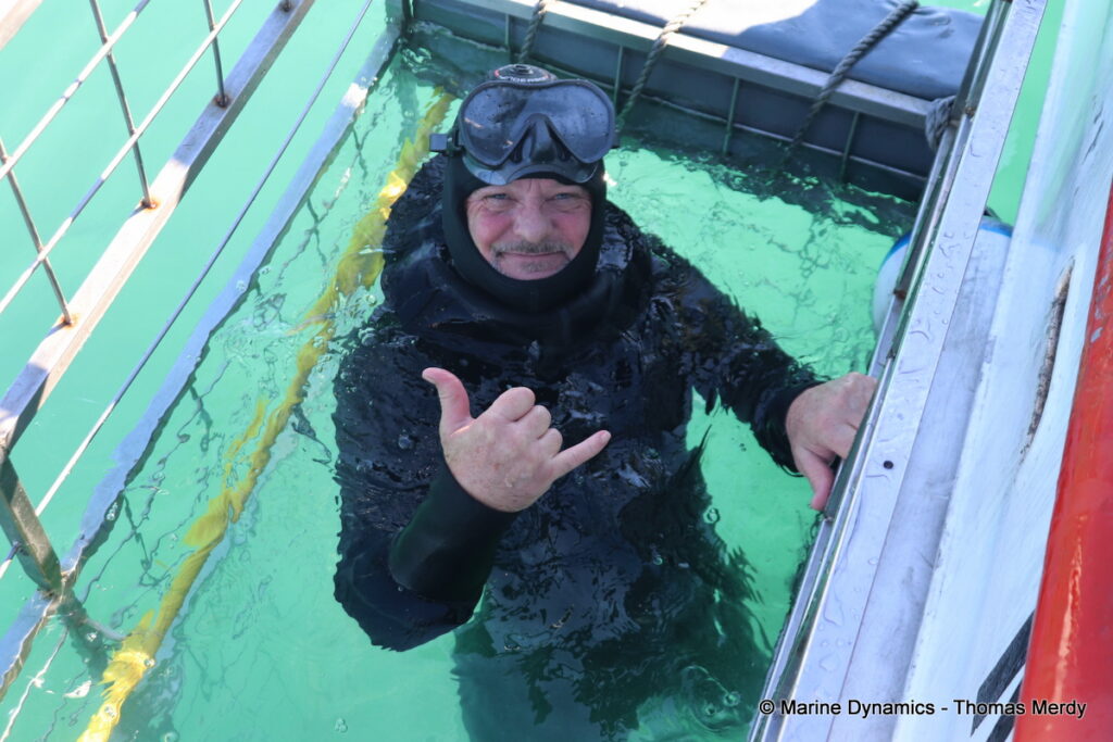 Shark cage diving, South Africa, Gansbaai
