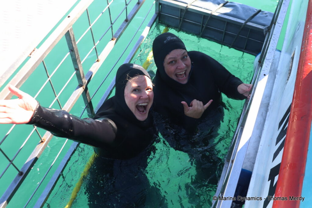 Shark cage diving, South Africa, Gansbaai