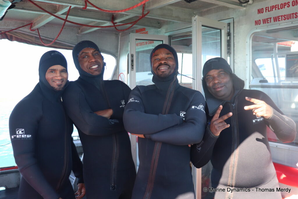 Shark cage diving, South Africa, Gansbaai