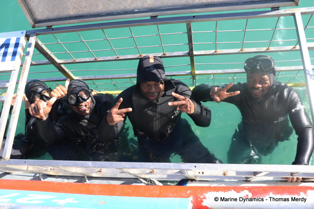 Shark cage diving, South Africa, Gansbaai