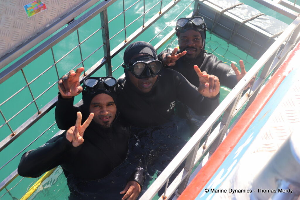 Shark cage diving, South Africa, Gansbaai