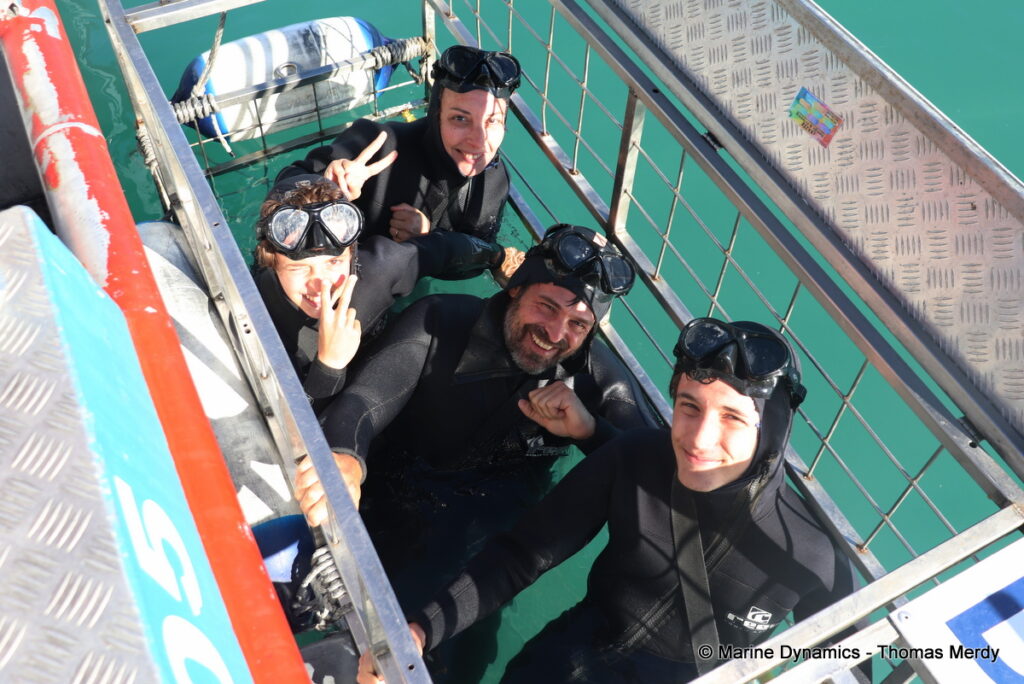 Shark cage diving, South Africa, Gansbaai