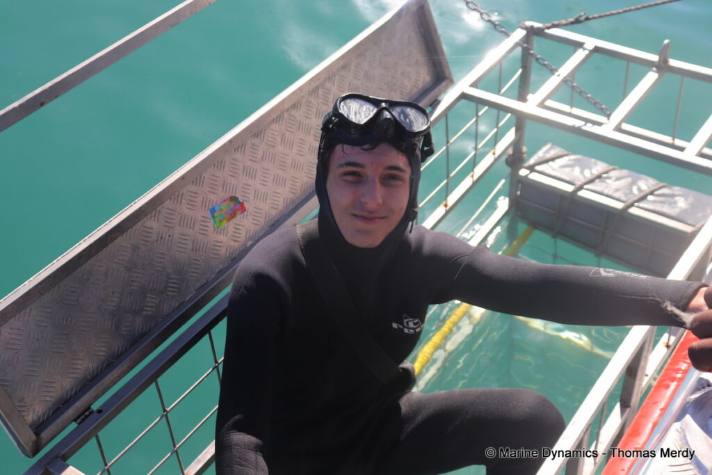 Shark cage diving, South Africa, Gansbaai
