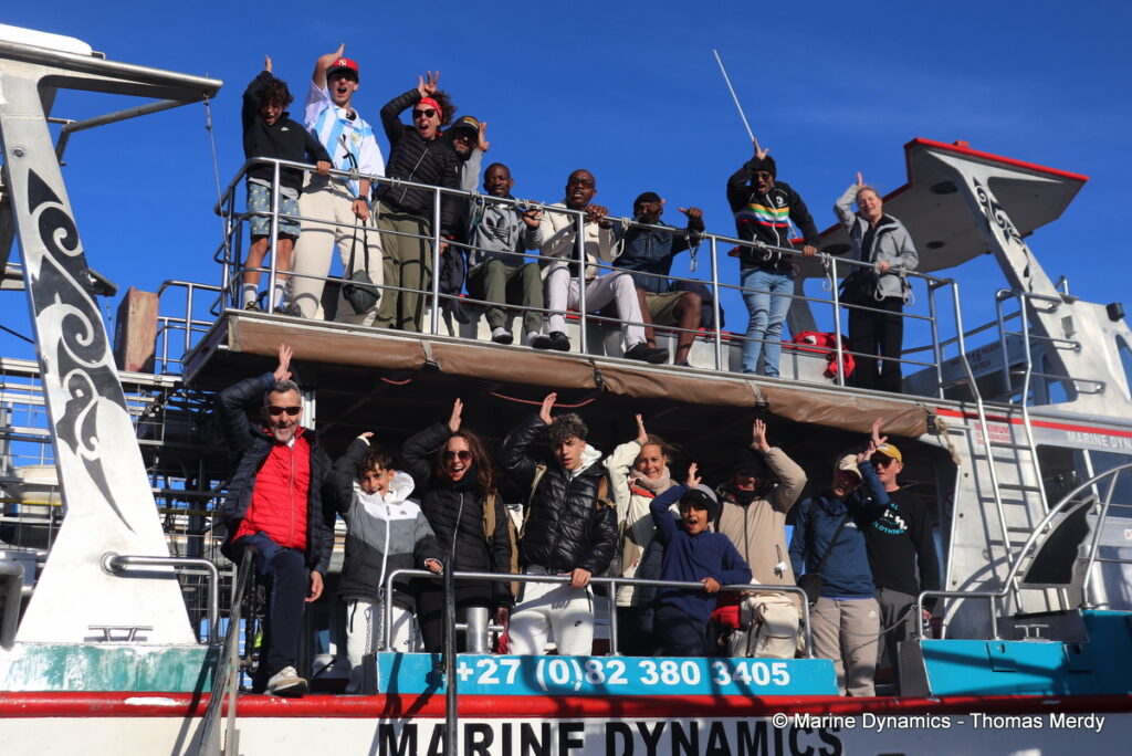 Shark cage diving, South Africa, Gansbaai