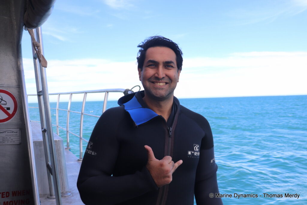 Shark cage diving, South Africa, Gansbaai