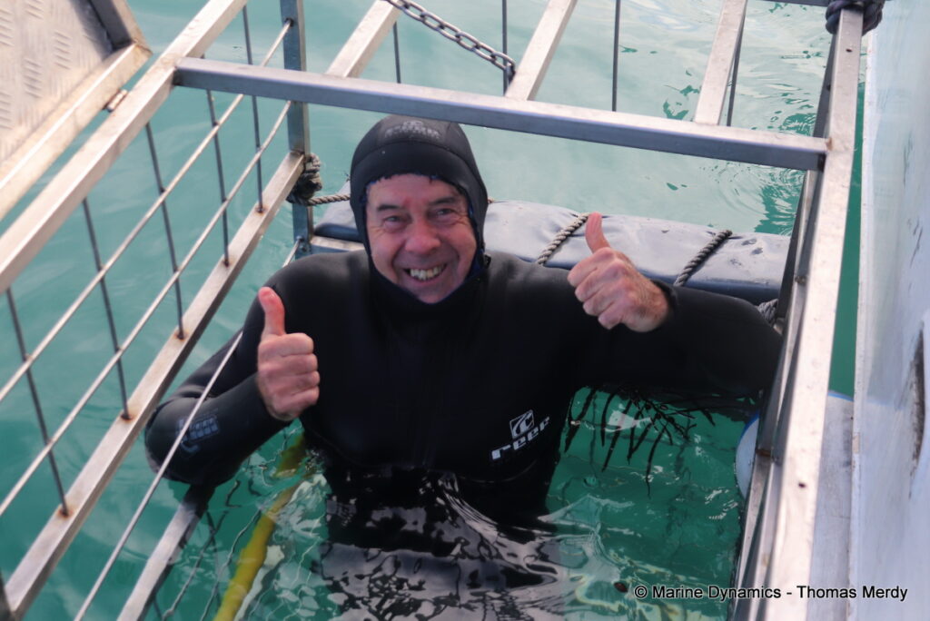 Shark cage diving, South Africa, Gansbaai