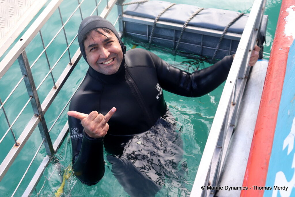 Shark cage diving, South Africa, Gansbaai