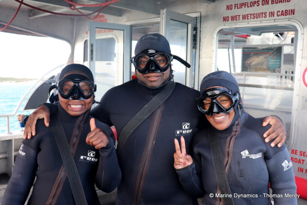 Shark cage diving, South Africa, Gansbaai