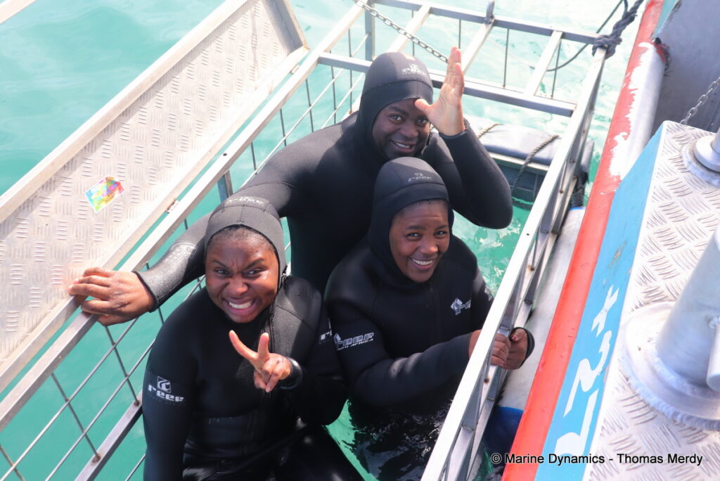 Shark cage diving, South Africa, Gansbaai