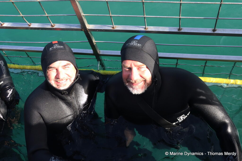 Shark cage diving, South Africa, Gansbaai