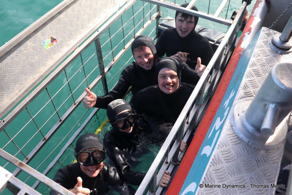 Shark cage diving, South Africa, Gansbaai