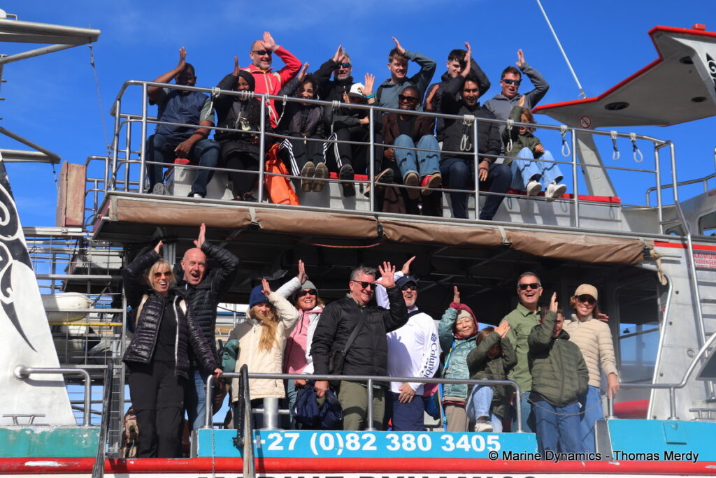 Shark cage diving, South Africa, Gansbaai