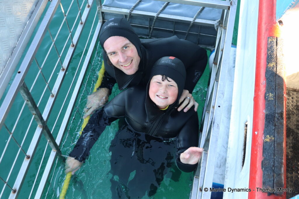 Shark cage diving, South Africa, Gansbaai
