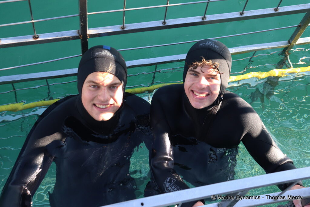 Shark cage diving, South Africa, Gansbaai