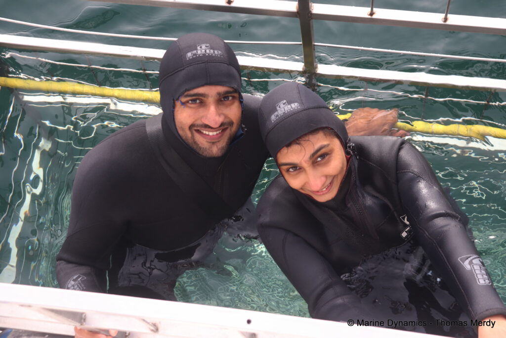 Shark cage diving, South Africa, Gansbaai