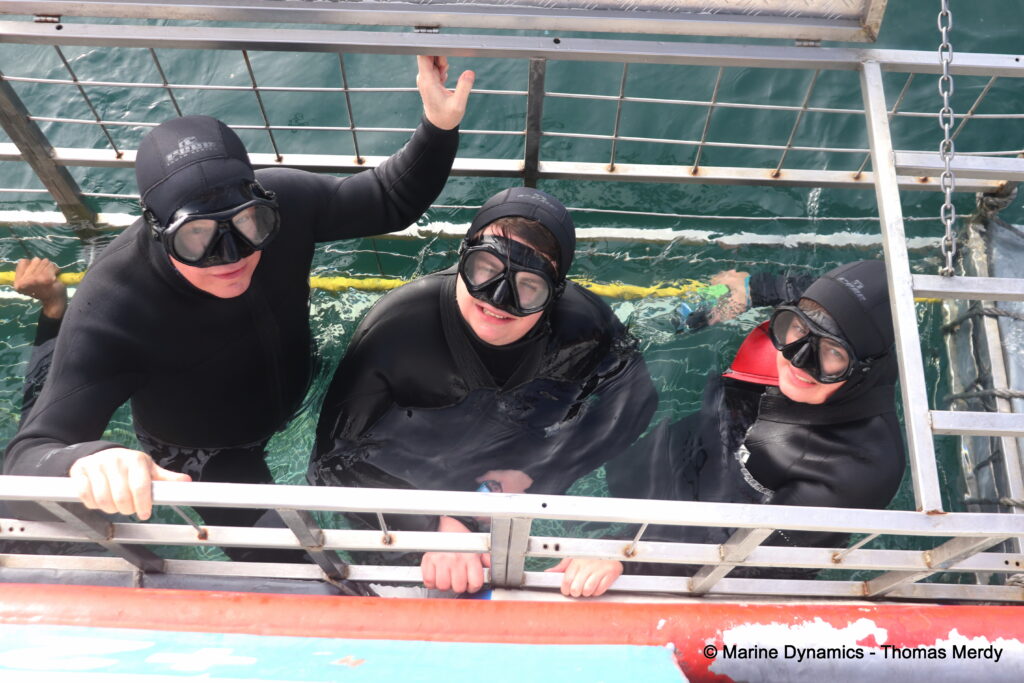Shark cage diving, South Africa, Gansbaai