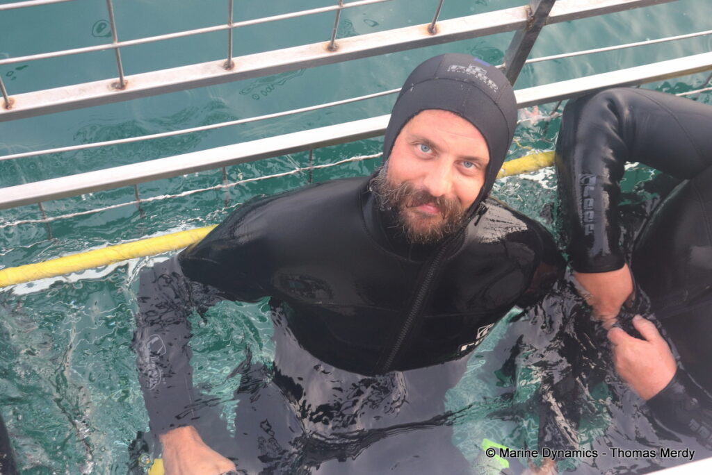 Shark cage diving, South Africa, Gansbaai