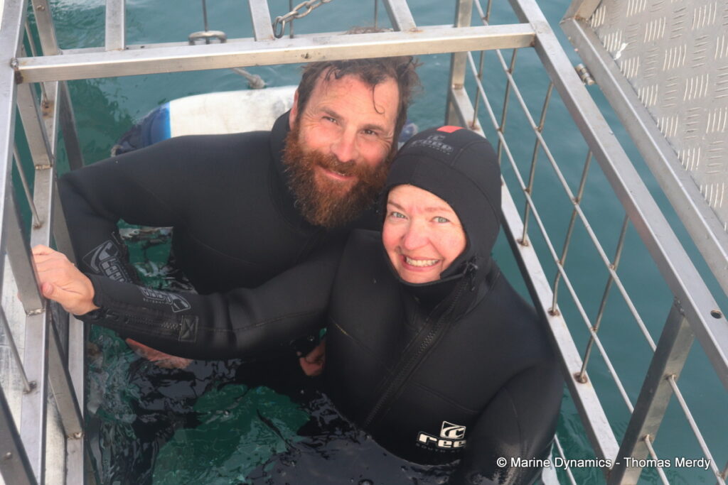 Shark cage diving, South Africa, Gansbaai