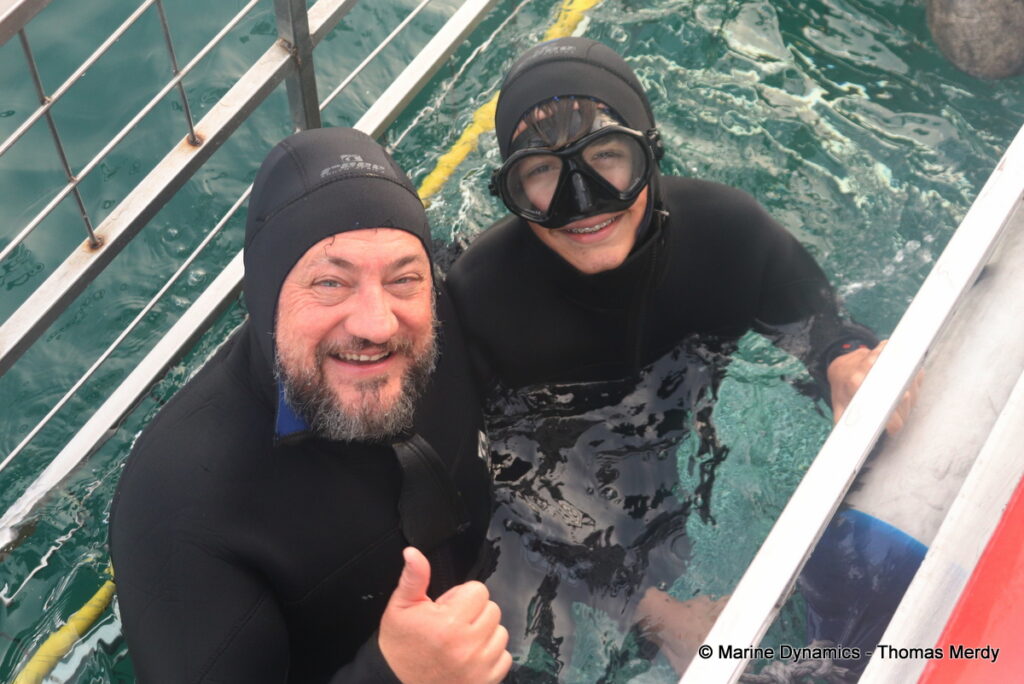 Shark cage diving, South Africa, Gansbaai