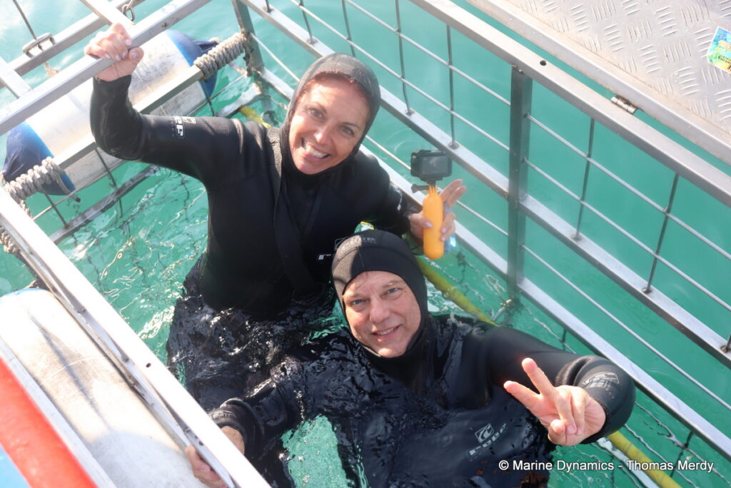 Shark cage diving, South Africa, Gansbaai