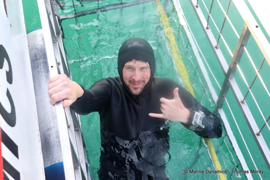 Shark cage diving, South Africa, Gansbaai