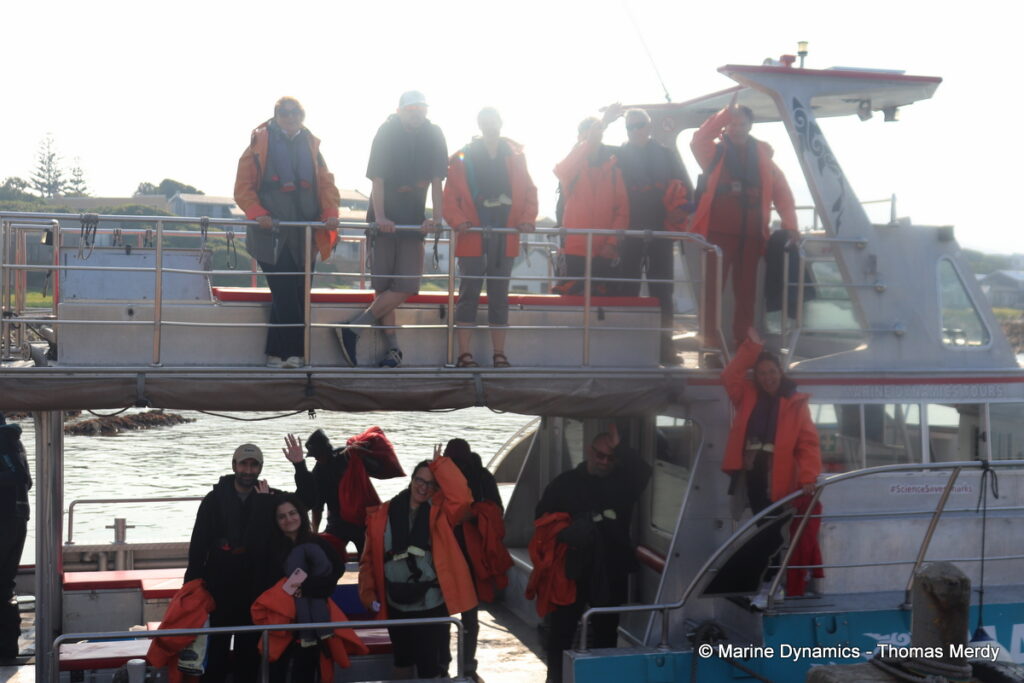 Shark cage diving, South Africa, Gansbaai