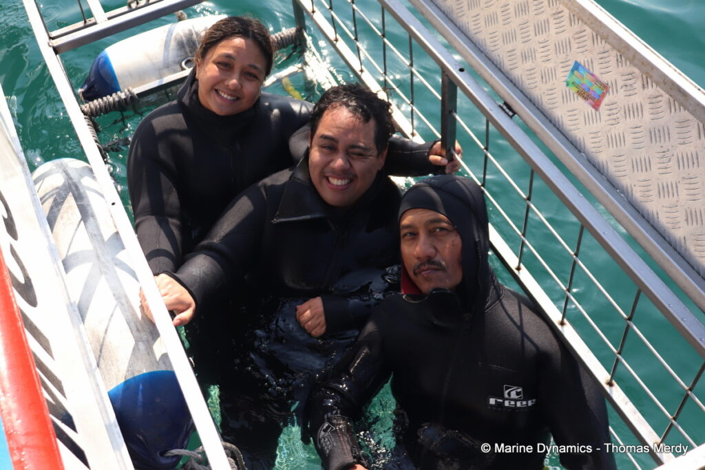 Shark cage diving, South Africa, Gansbaai