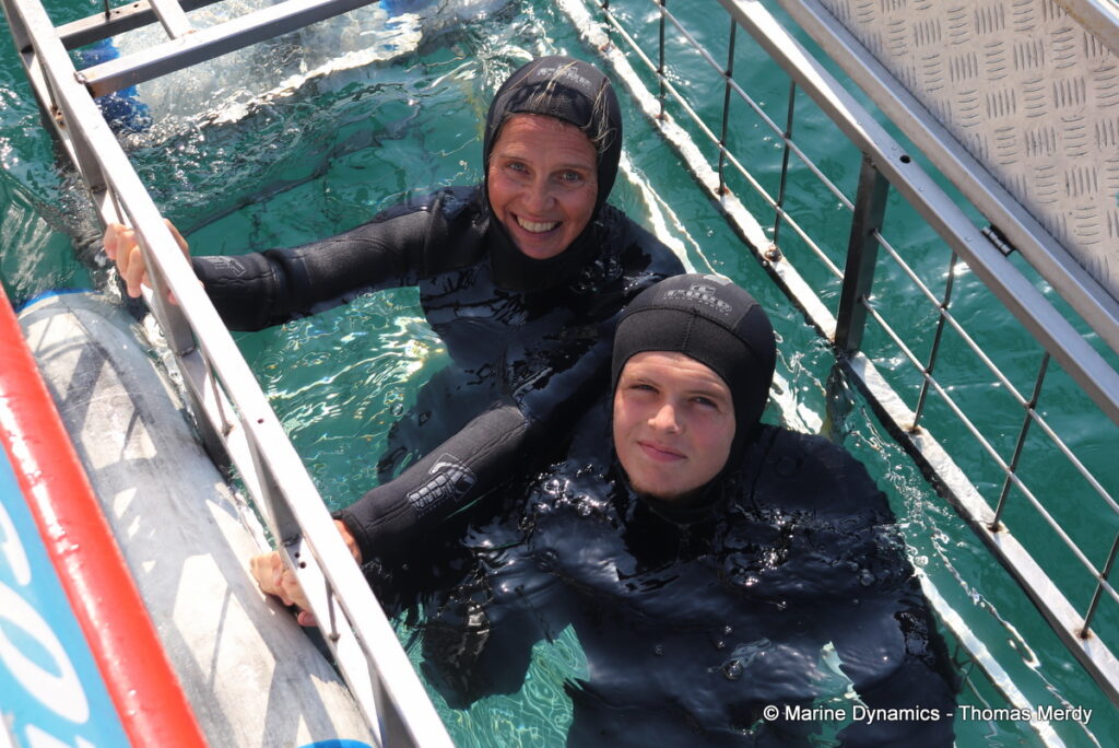 Shark cage diving, South Africa, Gansbaai