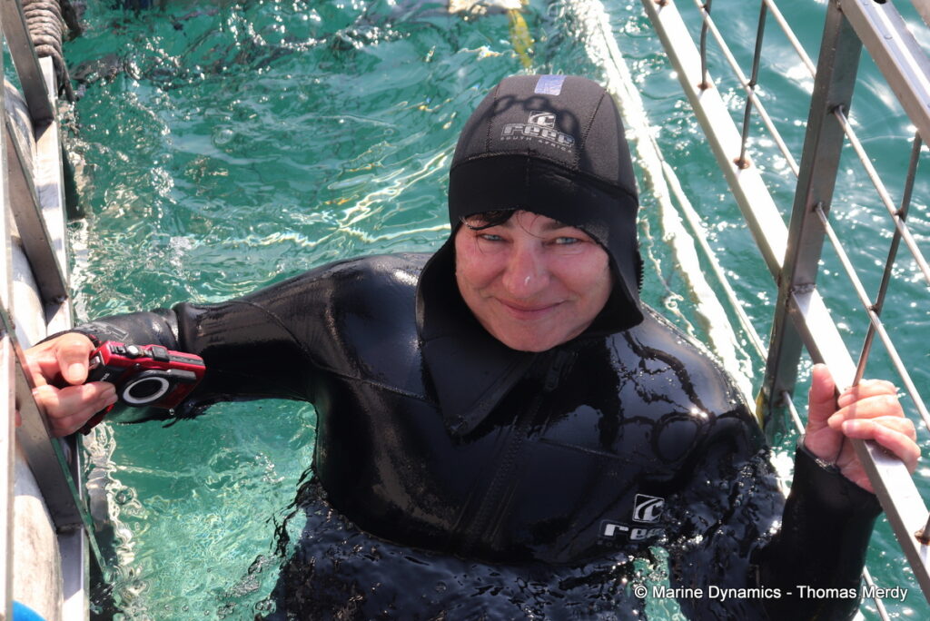Shark cage diving, South Africa, Gansbaai