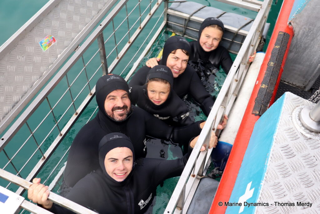 Shark cage diving, South Africa, Gansbaai