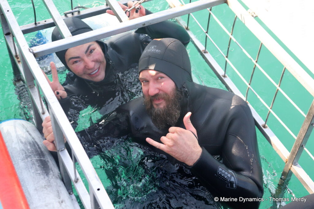 Shark cage diving, Gansbaai, South Africa